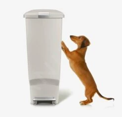 Simplehuman Cubos De Basura - Cubo De Basura Slim 40 L, Gris CW1363 -Blanco 40c311adbc2cf26f6838ab38 1