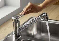 Blanco Wega S - Grifo De Fregadero Con Ducha Extraíble, Cromo 526416 -Blanco 5ea964b9d2dd2cd55352200c